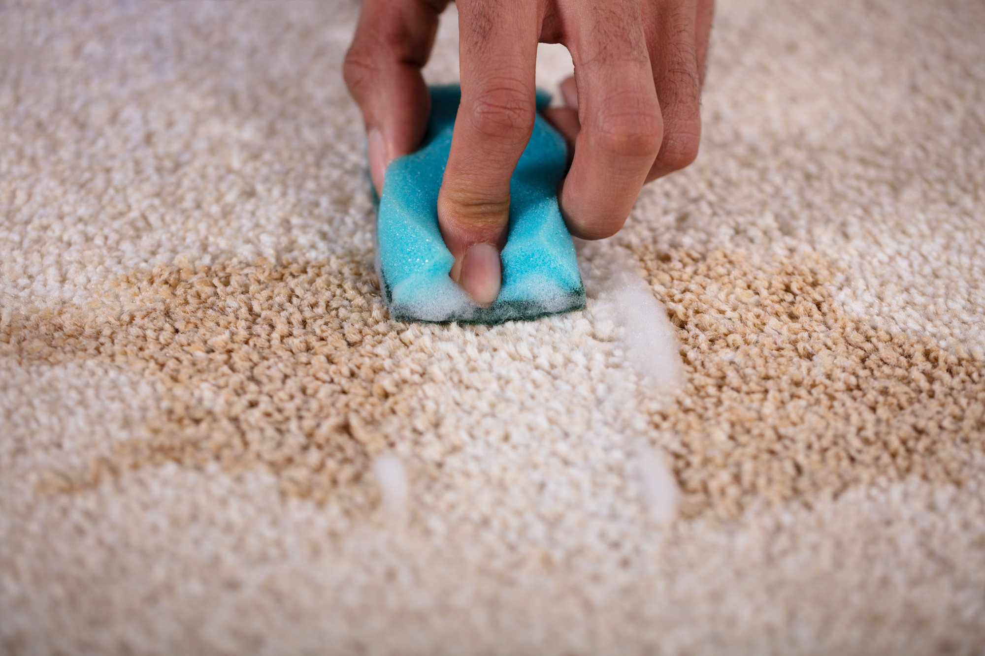 Stain removal techniques