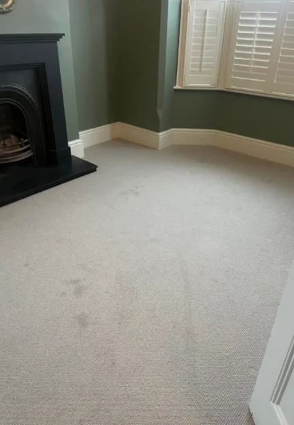 Living Room Deep Clean before